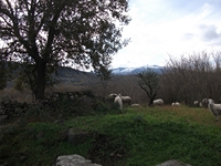 cantara piccole gole30122011 218